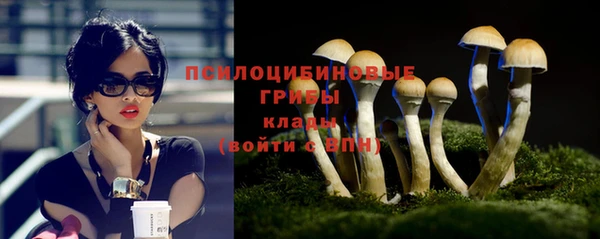 метамфетамин Белокуриха