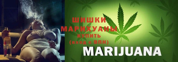 индика Белоозёрский
