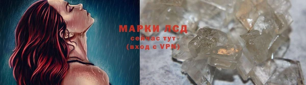 индика Белоозёрский