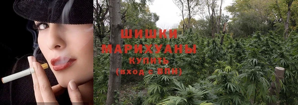 индика Белоозёрский